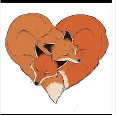 an image of two foxes in the shape of a heart