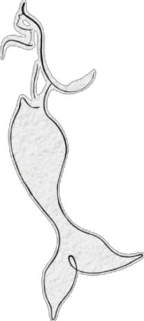 the outline of a mermaid tail is shown in white and has been cut out to look like