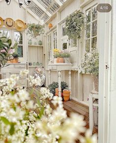 a room filled with lots of potted plants