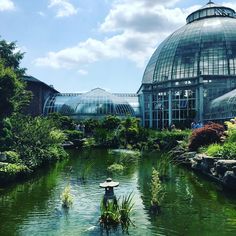 a pond in the middle of a garden with many plants around it and a large glass building behind it