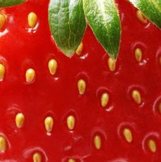 a close up view of a strawberry with green leaves