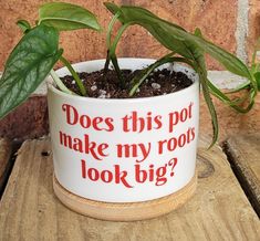 a potted plant with the words does this pot make my root look big?