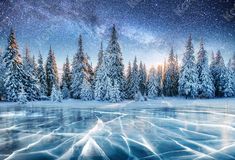 the night sky is filled with stars, and there are snow covered trees in the foreground