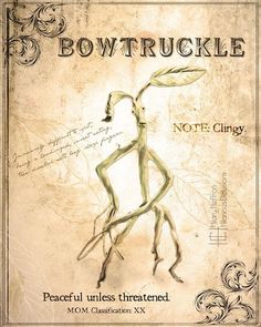 a book cover with an image of a man holding a plant in his hand and the title, bowtruckle not cling