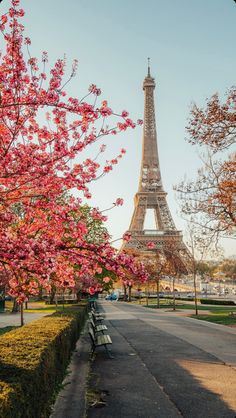 the eiffel tower is in the background with pink flowers on trees and benches