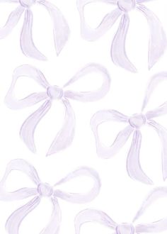 white bows and ribbons on a white background