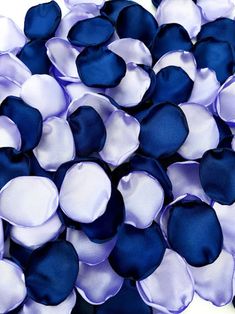 purple and white flowers are arranged together on a white surface with blue petals in the center