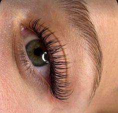 cat eye hybrid natural classic eyelash extensions Lash Looks, Lash Extensions, Eyelash Extensions, New Shop, Eyelashes, The One, Lashes, Shop My