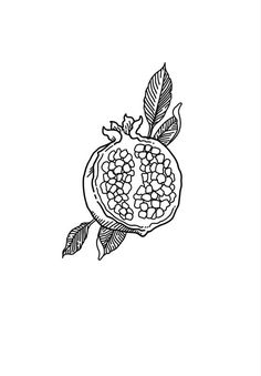 a pomegranate with leaves and flowers drawn in black ink on a white background