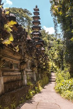 an old stone path leading to many pagodas in the jungle with trees and bushes