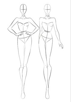 a line drawing of two women's body shapes