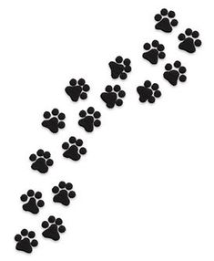 a dog's paw prints are shown in the shape of a long straight line