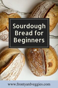 sourdough bread for beginners with text overlay that says sourdough bread for beginners