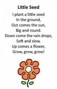 a poem written in black and white with an orange flower on the bottom right corner