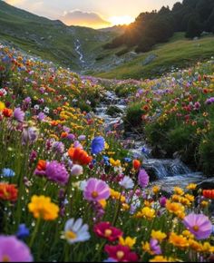 the sun is setting over a field full of wildflowers and stream running through it