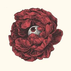 a drawing of a red flower with a skull in it's center on a white background