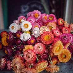 a bunch of colorful flowers sitting on top of a table