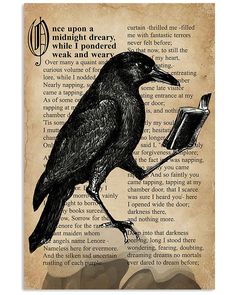 a black bird sitting on top of an old book with the words raven written in it