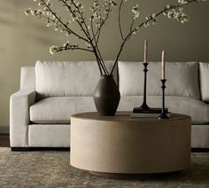 a living room with a couch, coffee table and vase