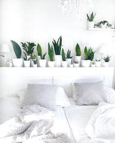 a white bed topped with lots of green plants