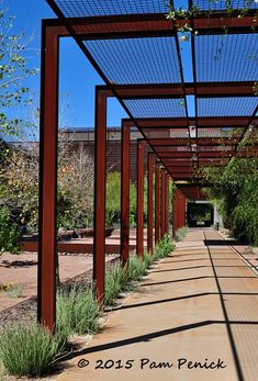 the walkway is lined with metal posts and plants