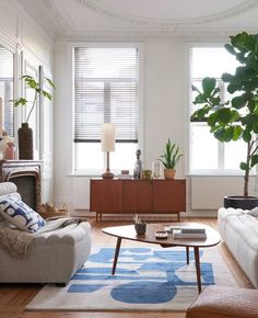 a living room with two couches, a coffee table and a potted plant