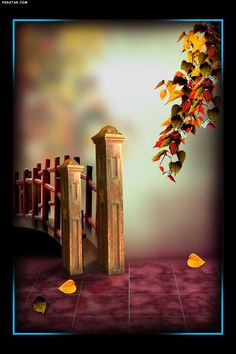 an image of a wooden gate with fall leaves on the ground in front of it