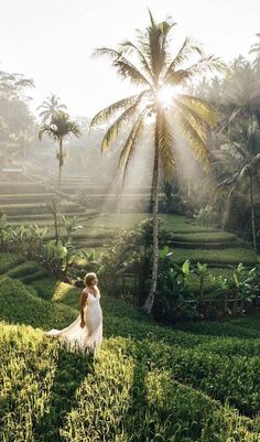 a bride and groom standing in the middle of a lush green field surrounded by palm trees