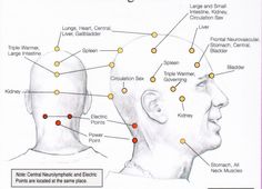 Forward Head Posture Exercises, Meridian Points, Neck And Shoulder Muscles, Forward Head Posture, Acupressure Massage, Posture Exercises, Hand Therapy