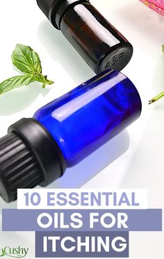 Diy Anti Itch Cream Essential Oils, Anti Itch Hair Oil, Natural Remedies For Itching Skin, How To Stop Itchy Skin, Essential Oils For Itchy Rash, Essential Oils For Rash And Itching, Essential Oils For Itchy Skin, Anti Itch Essential Oil, How To Stop Itching Skin