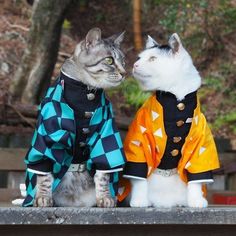 two cats dressed in costumes are sitting on a bench and one cat is looking at the other