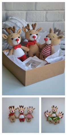 three stuffed animals in a cardboard box on a white table and two pictures of the same animal