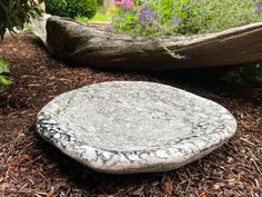 a rock sitting on top of mulch next to a tree