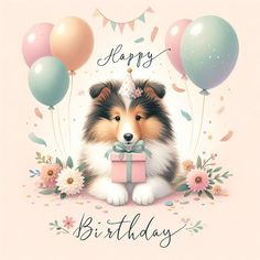 a happy birthday card with a shetland sheep dog holding a gift box surrounded by balloons and confetti