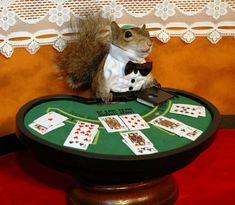 a squirrel sitting on top of a table with playing cards