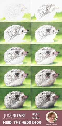 the hedgehog is sitting on the grass and has four different pictures to show it's