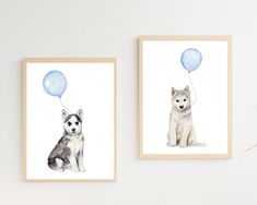 two pictures of dogs with blue balloons hanging on the wall next to eachother