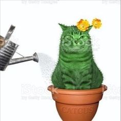 a green cat sitting in a flower pot next to a watering can with yellow flowers on it