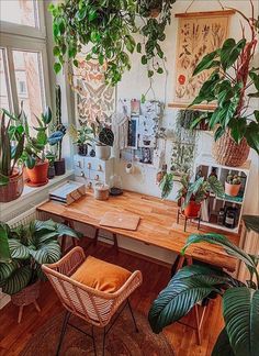 a room filled with lots of plants and potted plants on top of a wooden table