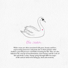 a white swan with pink lettering on it's face and the words, the swan