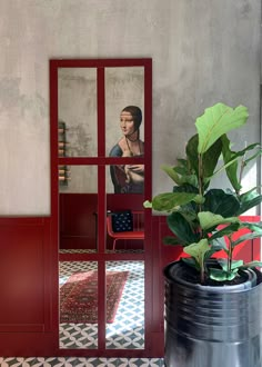 a potted plant sitting in front of a mirror on the side of a wall