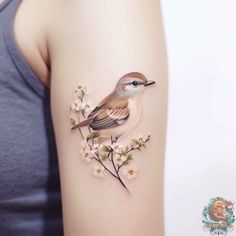 a small bird sitting on top of a branch with white flowers in it's beak