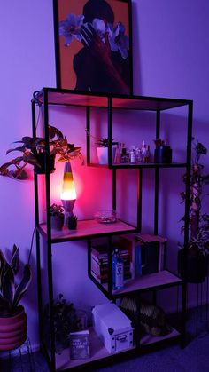 a shelf with some plants on it and a lamp in the corner next to it