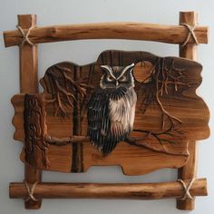 an owl is sitting on a tree branch carved into a wood frame with rope around it