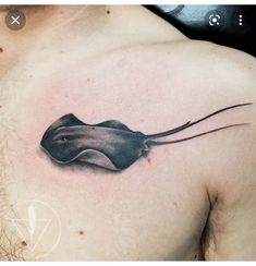 a man's chest with a black and white tattoo of a stingfish on it