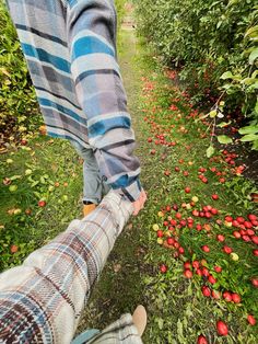 couple fall aesthetic photos apple orchard autumn Fall Date Photos, Couple Poses Apple Orchard, Fall Apple Orchard Aesthetic, Orchard Couple Pictures, Apple Picking With Boyfriend, Fall Couples Photoshoot Apple Orchard, Apple Picking Aesthetic Couple, Aesthetic Fall Couple Pictures, Apple Orchard Instagram Pictures