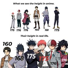 an image of anime characters with their height and body measurements in the same line up