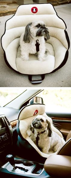 there is a dog that is sitting in the car seat