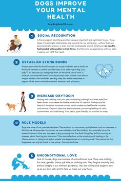 an info sheet describing the benefits of dogs