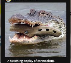 an alligator is in the water with its mouth open